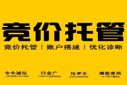 包年推广新篇章：百度竞价的多维度应用案例